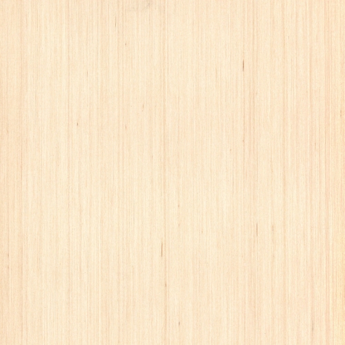 Linea European Birch